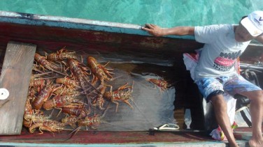 Food delivery in San Blas