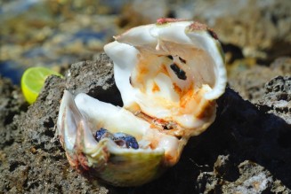 DSC_2149