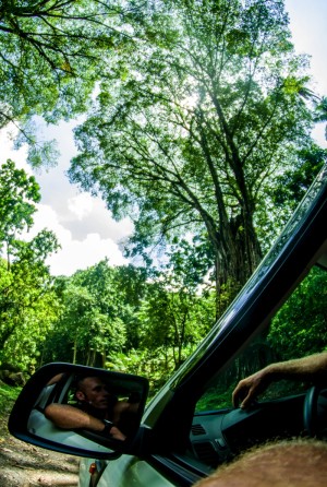 Cruising
