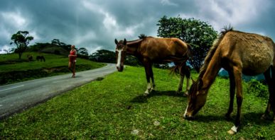 Anna & Horses