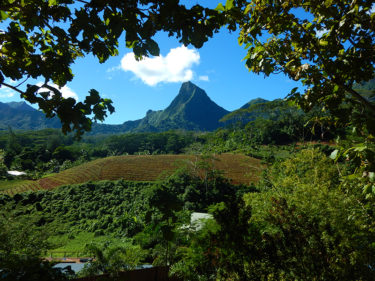 moorea_view