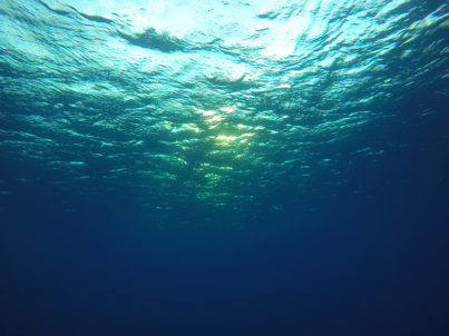 DCIM100GOPROGOPR5034.