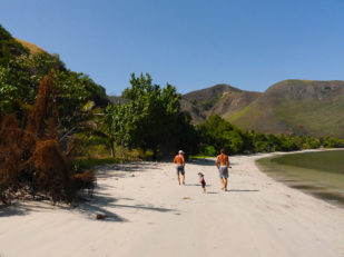 beach_walk