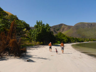 beach_walk