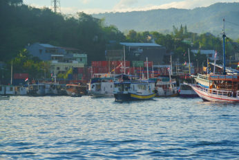 flores